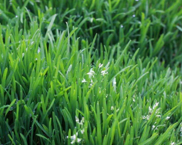 1640527798758105.jpg 1640527798758105.jpg