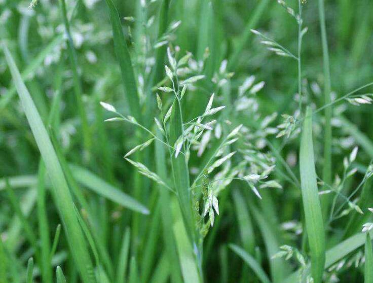 1640527805113567.jpg 1640527805113567.jpg