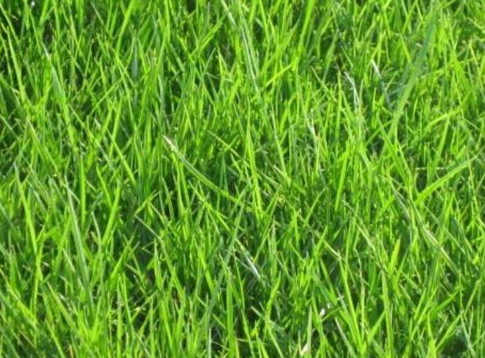 1640528634930507.jpg 1640528634930507.jpg