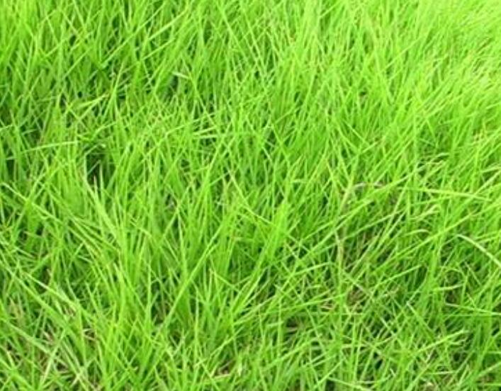 1640528650603651.jpg 1640528650603651.jpg