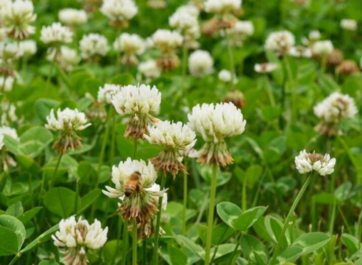 1640531671484509.jpg 1640531671484509.jpg