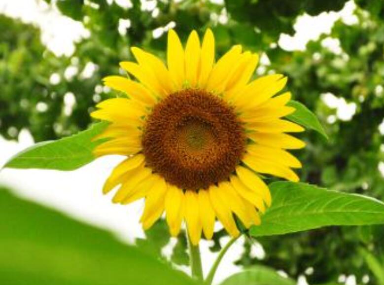 1640681738113070.jpg 1640681738113070.jpg