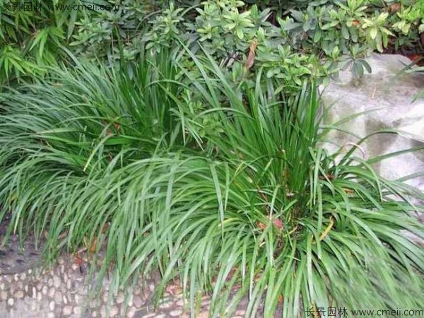 1641724285443015.jpg 9f368d5849e754cd6aa4ed1c9a6aaabe_1-1F50R12146422.jpg