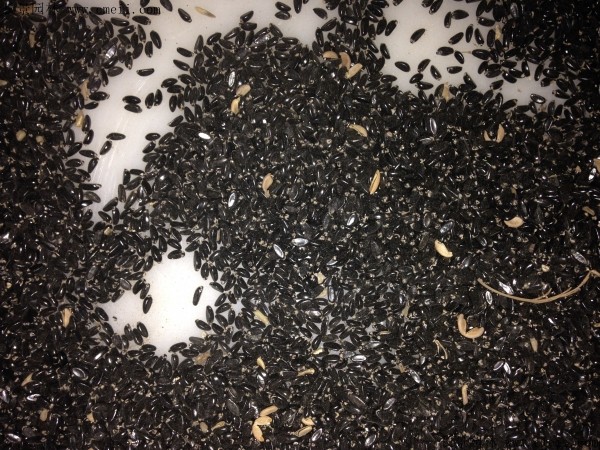 1641725108205122.jpg 1fc93ed0e0edc82e4111e4b273e39644_1-1FF21AI9343.jpg