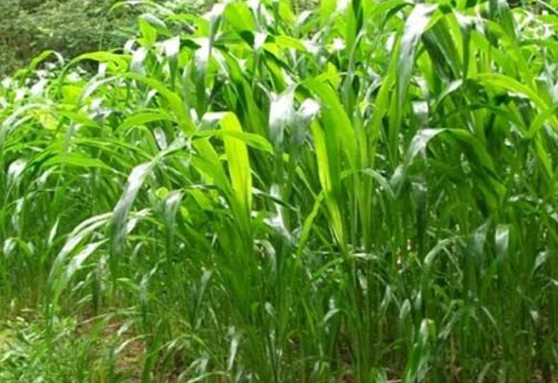 1641737658386533.jpg 1641737658386533.jpg