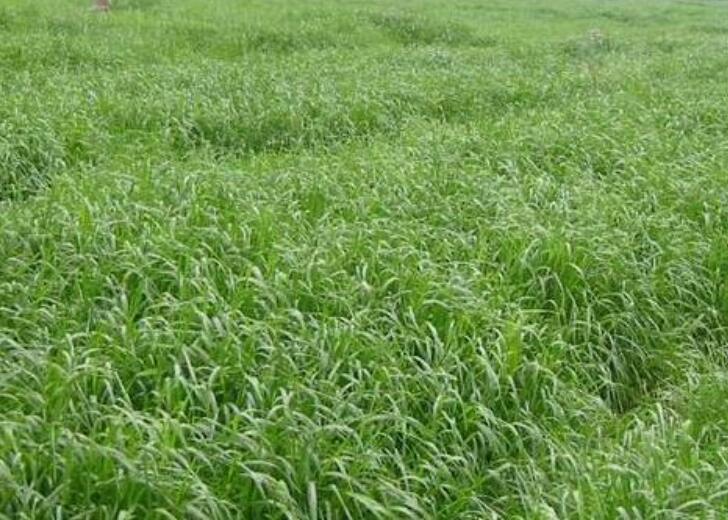 1641737666783172.jpg 1641737666783172.jpg