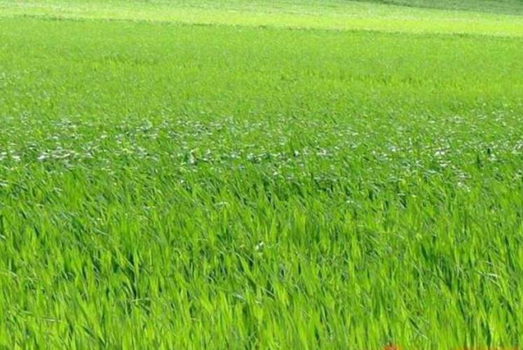 1641797425523111.jpg 1641797425523111.jpg