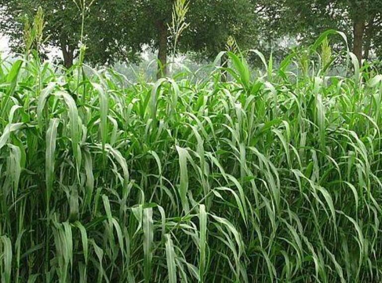 1641797451610902.jpg 1641797451610902.jpg