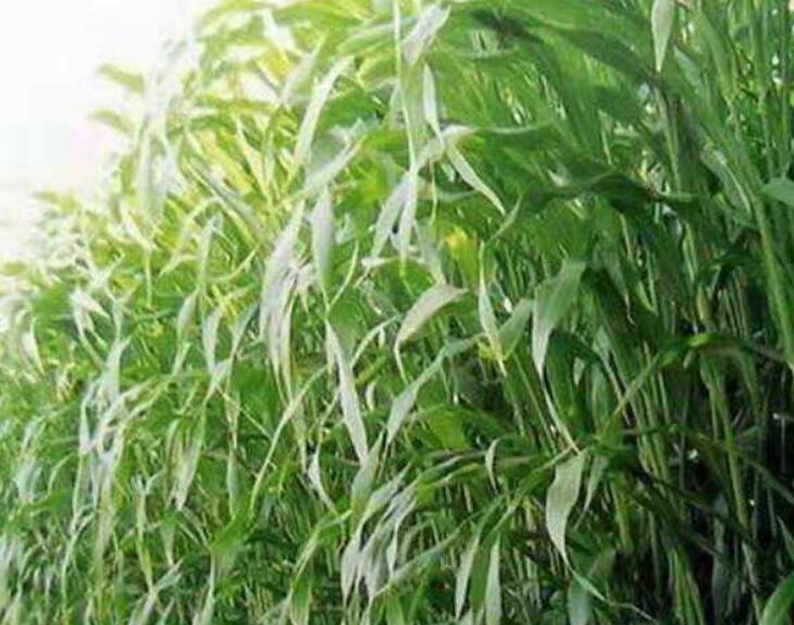 1641826937644676.jpg 1641826937644676.jpg