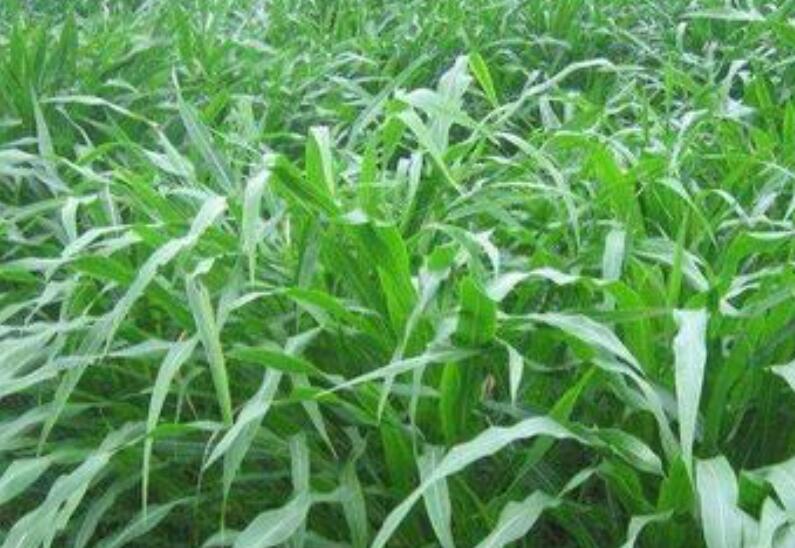 1641826947516764.jpg 1641826947516764.jpg