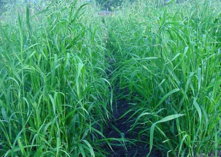 1641826954917041.jpg 1641826954917041.jpg