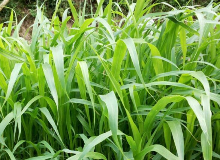 1641827455298817.jpg 1641827455298817.jpg