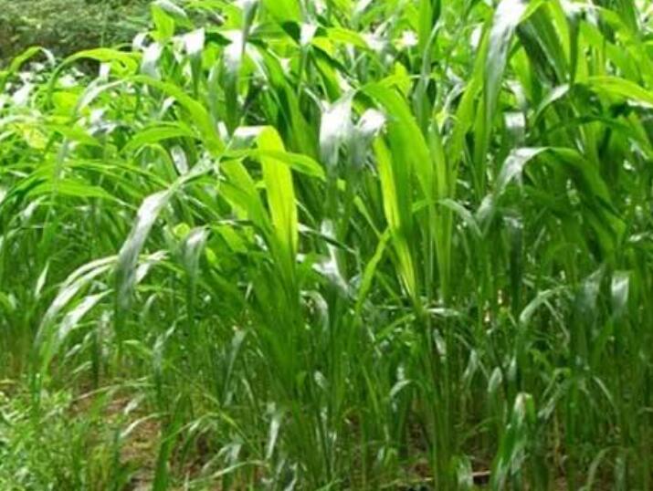 1641828225883548.jpg 1641828225883548.jpg