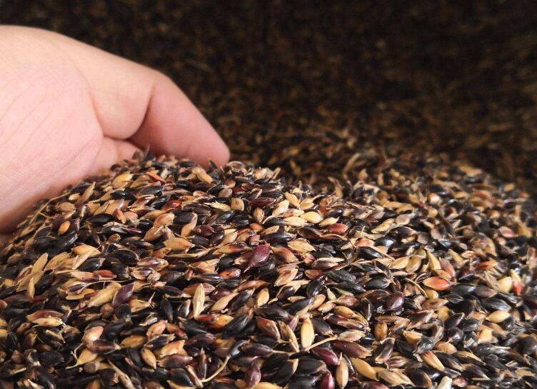 1641828236659815.jpg 1641828236659815.jpg