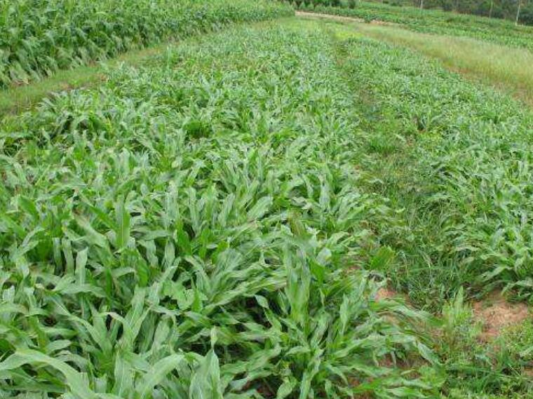 1641912617133747.jpg 1641912617133747.jpg