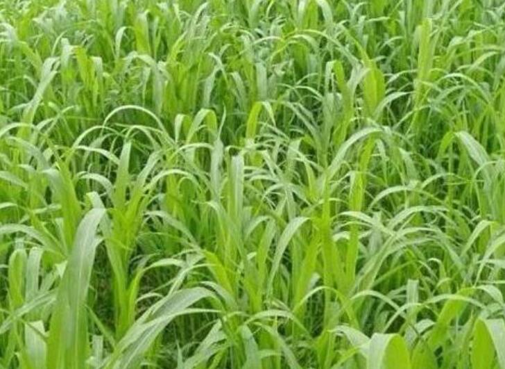 1641978100353097.jpg 1641978100353097.jpg