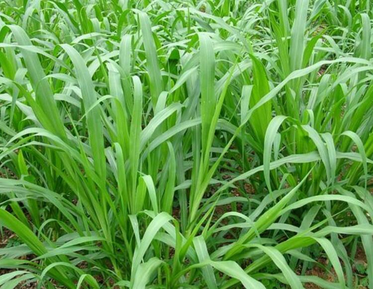 1641978129890865.jpg 1641978129890865.jpg