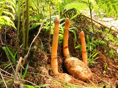 1641983700127616.jpg 1641983700127616.jpg