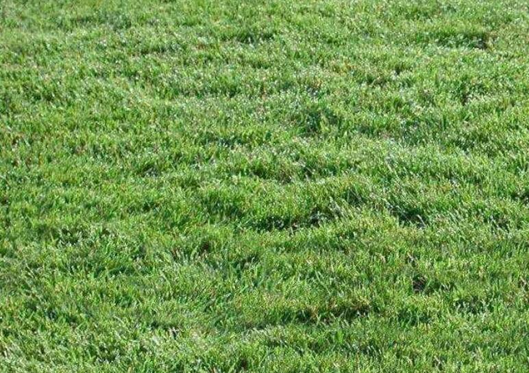 1641999977713576.jpg 1641999977713576.jpg