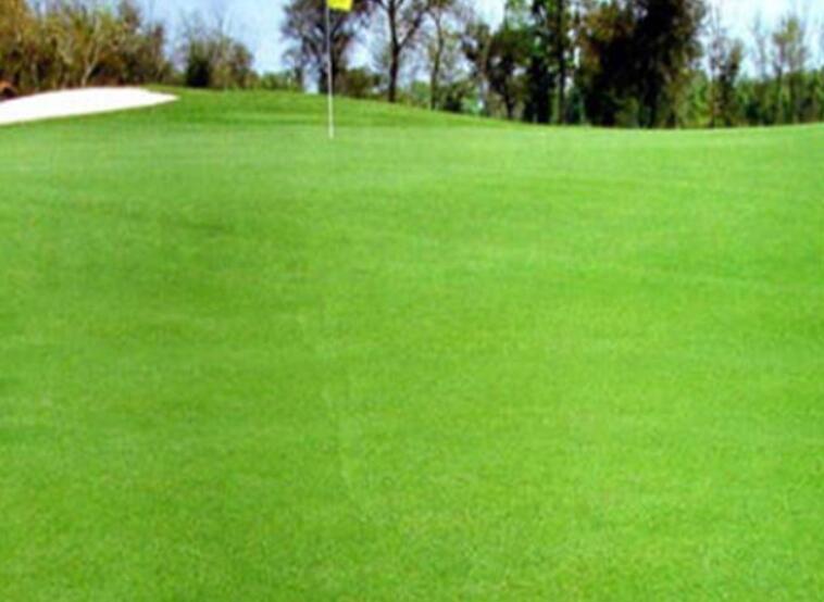 1641999988900220.jpg 1641999988900220.jpg