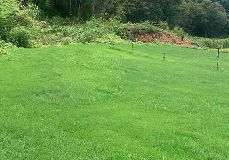 1641999995783506.jpg 1641999995783506.jpg