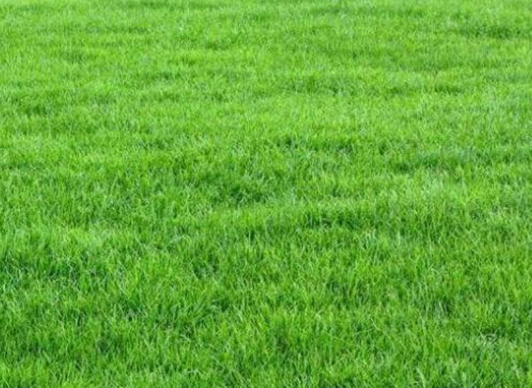 1642057398390628.jpg 1642057398390628.jpg