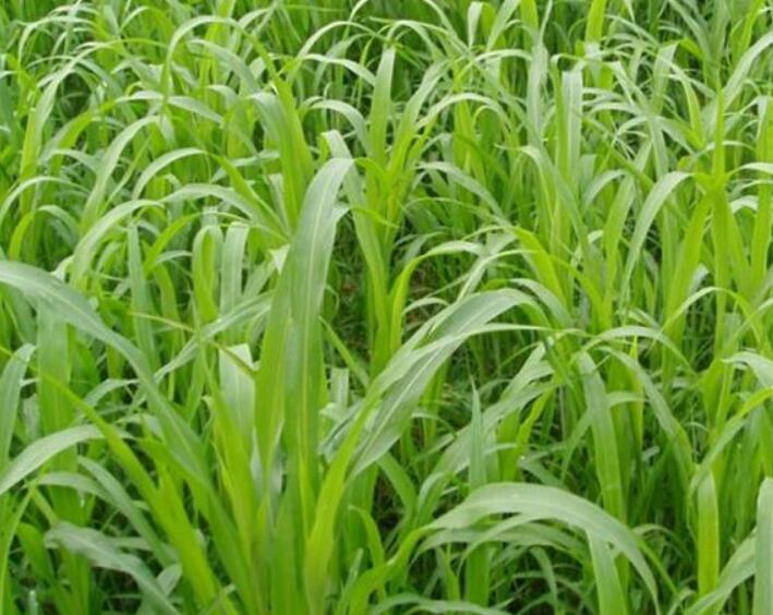 1642128402805856.jpg 1642128402805856.jpg