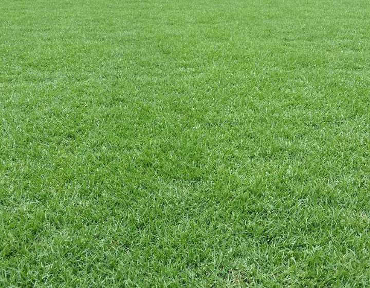 1642235941424797.png 1642235941424797.png