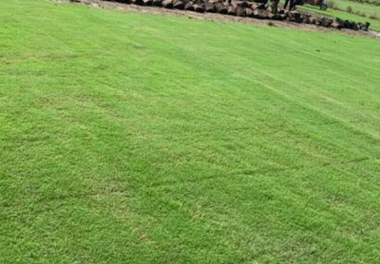 1642237499552553.jpg 1642237499552553.jpg