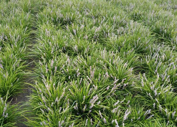 1642303887358222.jpg 1642303887358222.jpg