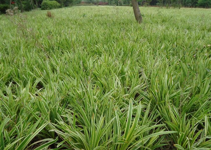 1642303892486789.jpg 1642303892486789.jpg