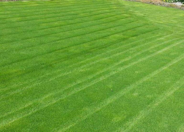 1642304612455980.jpg 1642304612455980.jpg