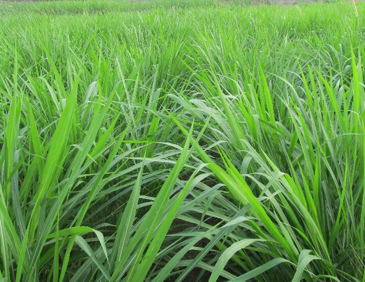 1642308665772915.jpg 1642308665772915.jpg