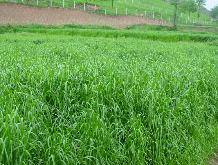 1642308686762353.jpg 1642308686762353.jpg