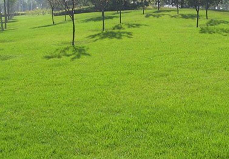 1642311529988871.jpg 1642311529988871.jpg