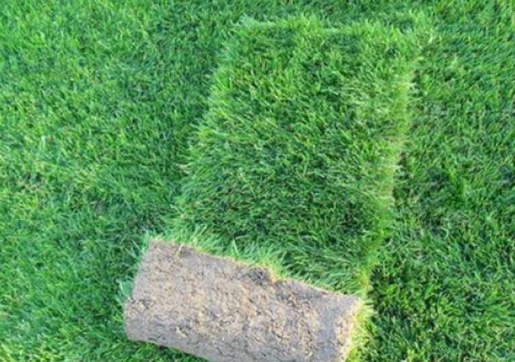 1642311539428274.jpg 1642311539428274.jpg