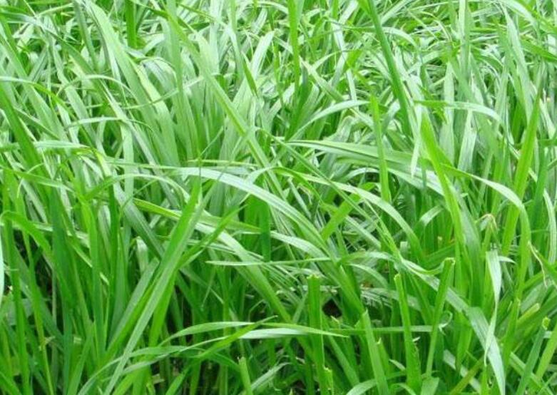 1642312568831183.jpg 1642312568831183.jpg