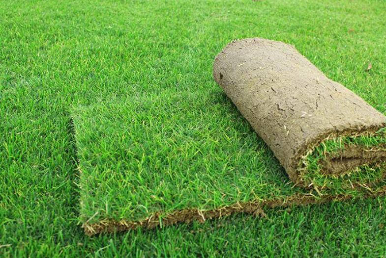 1642493633129218.jpg 1642493633129218.jpg