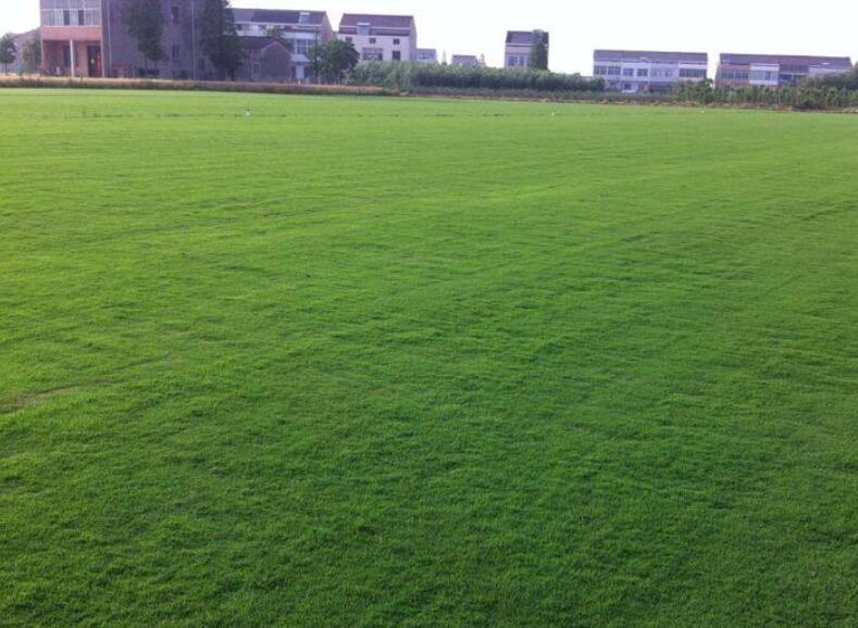 1642493651785465.jpg 1642493651785465.jpg