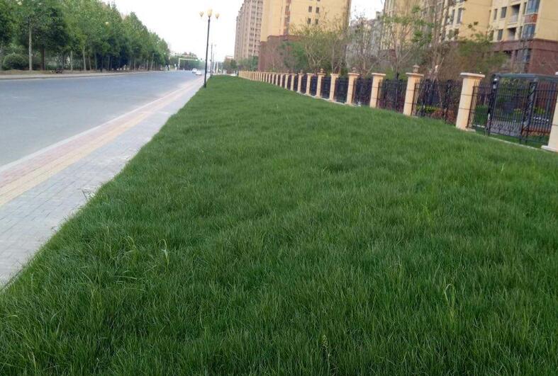 1642583041638818.jpg 1642583041638818.jpg