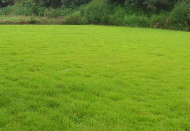 1642583054259759.jpg 1642583054259759.jpg