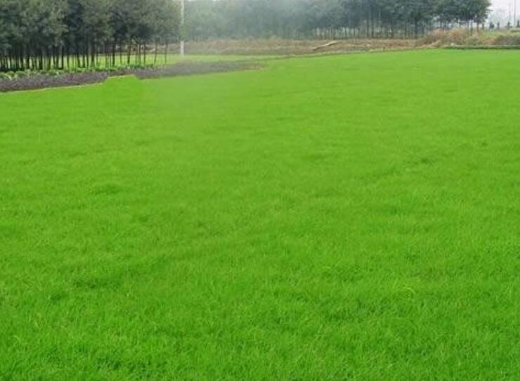 1642583984767354.jpg 1642583984767354.jpg