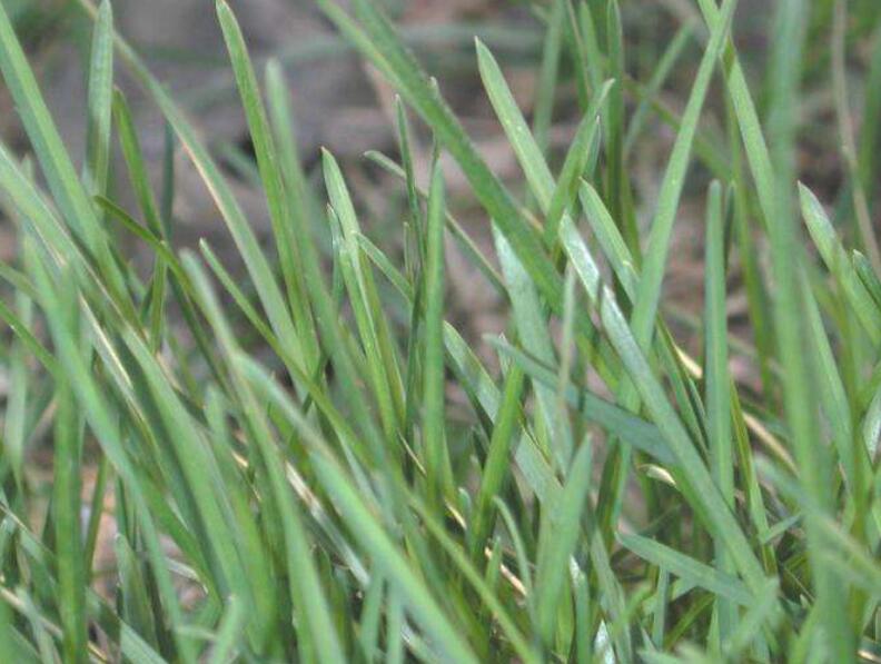 1642584135868105.jpg 1642584135868105.jpg