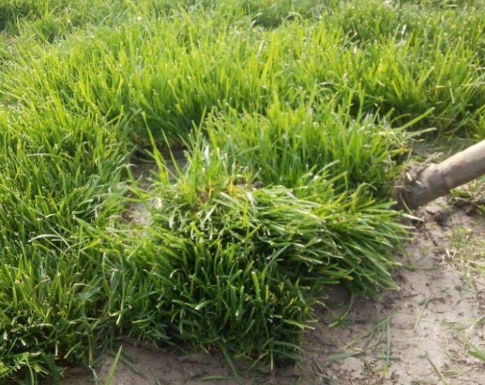 1642586631410341.jpg 1642586631410341.jpg