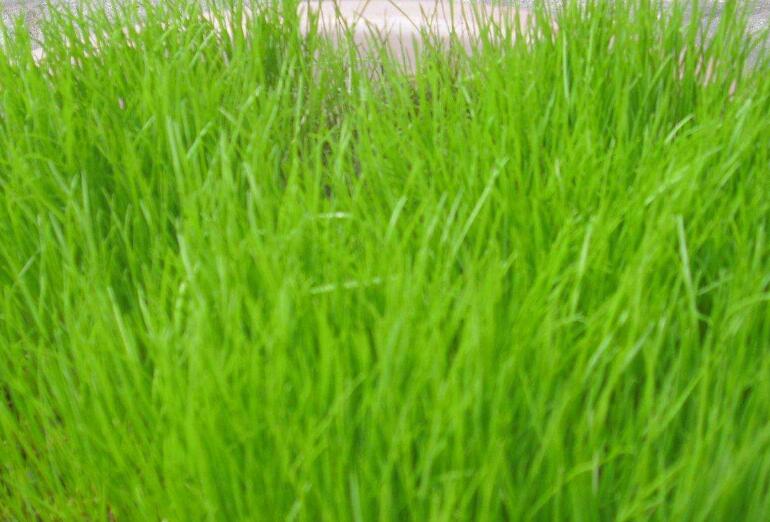 1642587601926285.jpg 1642587601926285.jpg