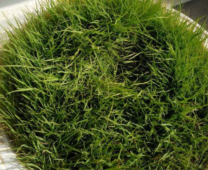 1642587611902267.jpg 1642587611902267.jpg