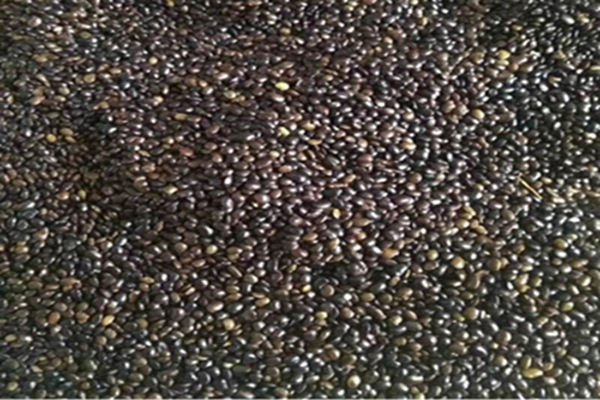 1642652175563636.jpg 1642652175563636.jpg