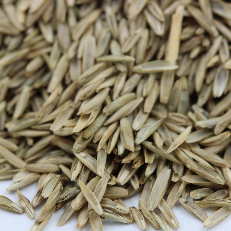 1642653637724095.jpg 1642653637724095.jpg