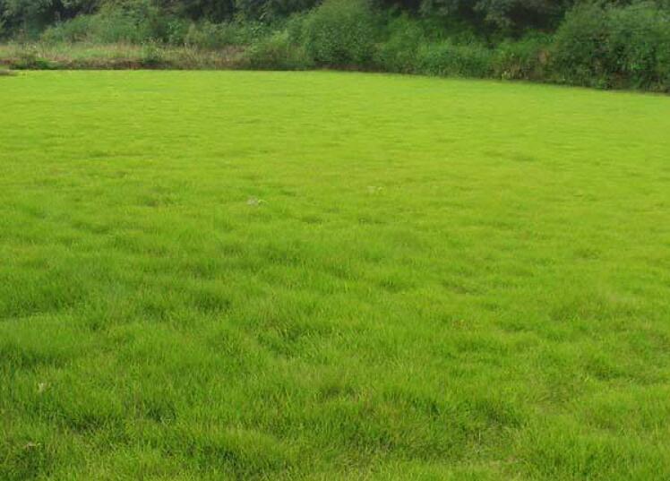 1642757230679938.jpg 1642757230679938.jpg