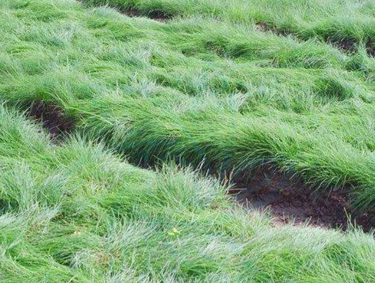 1642757238744911.jpg 1642757238744911.jpg